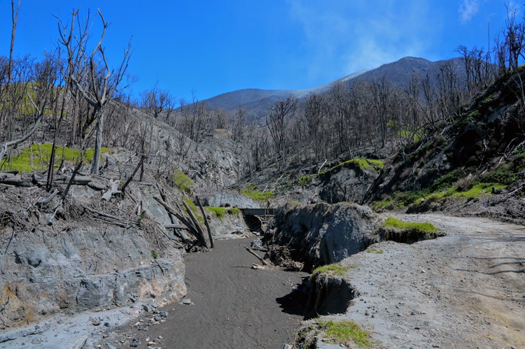 Neergeslagen as van de actieve Turrialba vulkaan, Costa Rica